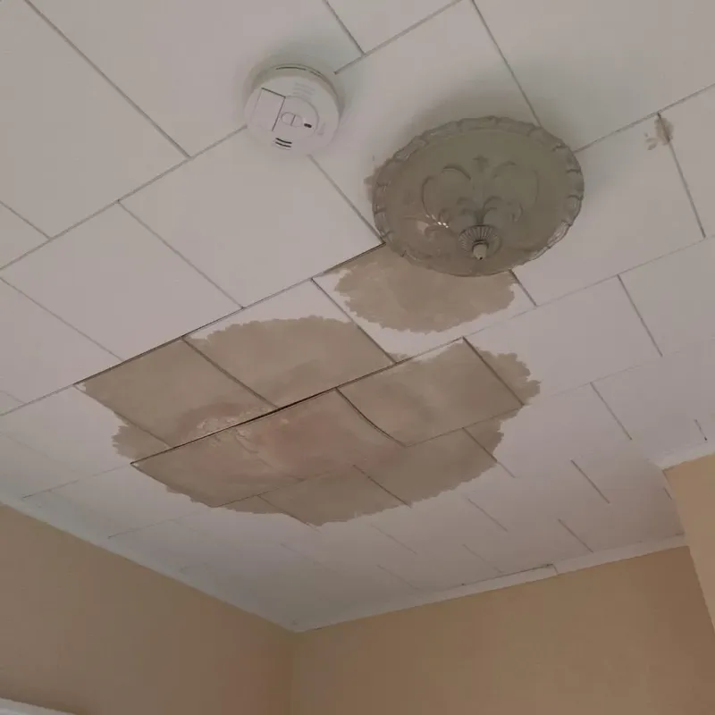 Ceiling Water Damage Repair in Tonganoxie, KS
