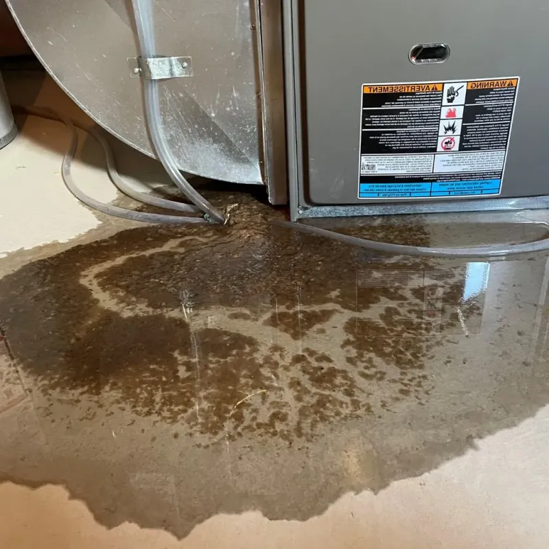 Pipe Burst and Leak Restoration in Tonganoxie, KS