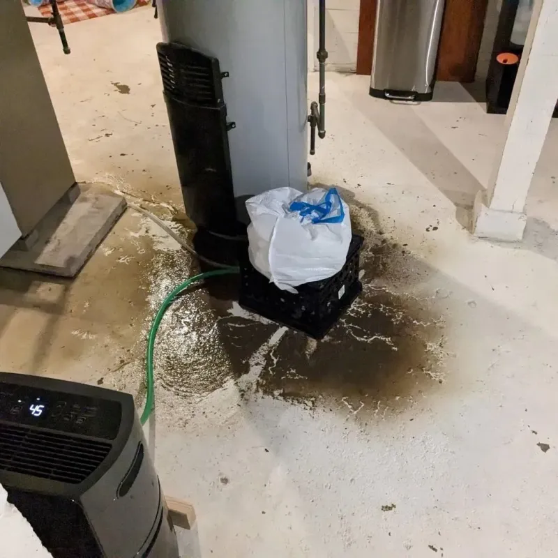 Sewage Backup Cleanup Service in Tonganoxie, KS